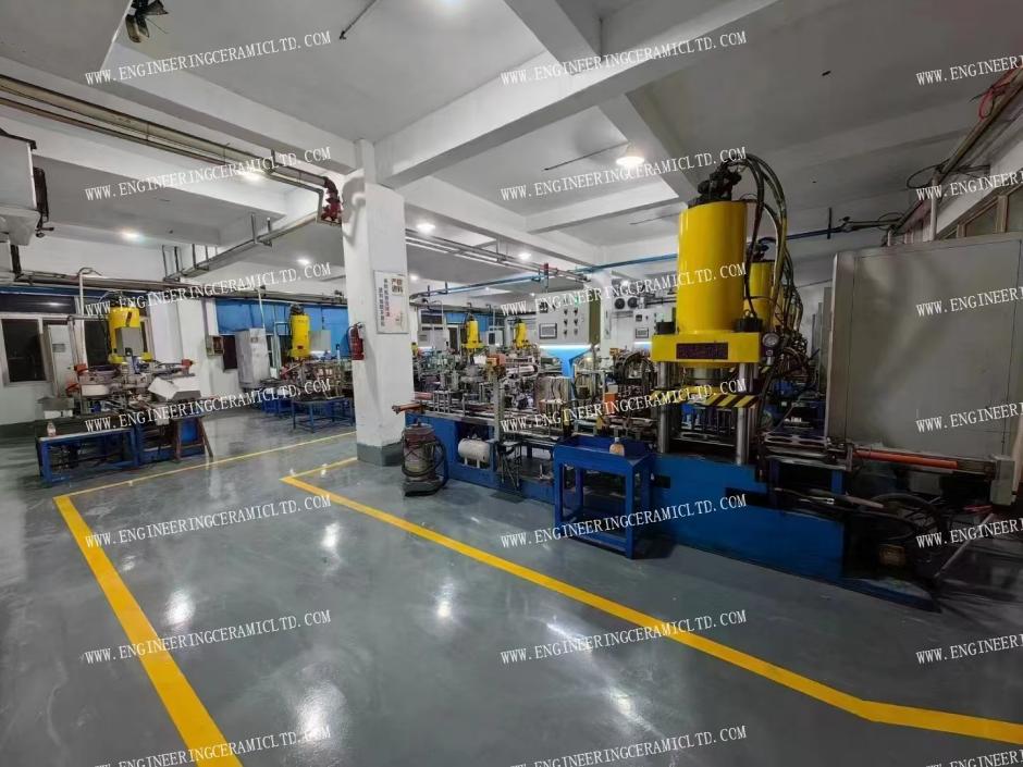 Wir feiern das Jahr des Pferdes!